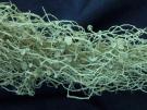 Ramalina hierrensis (licheen)